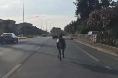 Başıboş at ana yolda trafiği tehlikeye attı