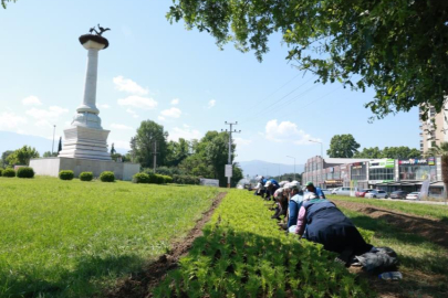 Bu yaz Osmangazi’de çiçek kokuları eksik olmayacak