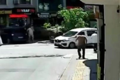 150 yıllık çınar böyle devrildi