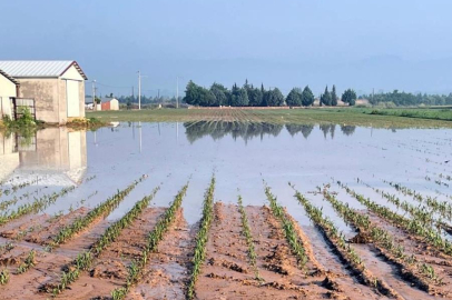 Bursa Yenişehir'de sel ve dolu felaketi