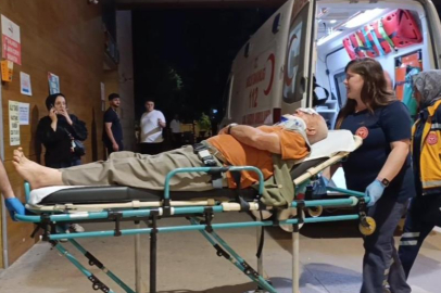 Erik toplamak için çıktığı ağaçtan düşerek yaralandı