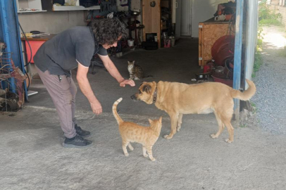 Gözleri görmeyen köpeğe 13 yıldır evladı gibi bakıyor