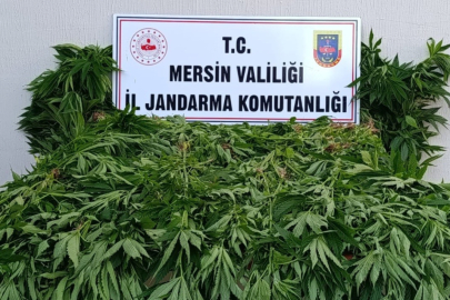 Mersin'de Uyuşturucu Operasyonu