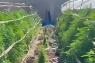 Hatay'da Uyuşturucu Operasyonu