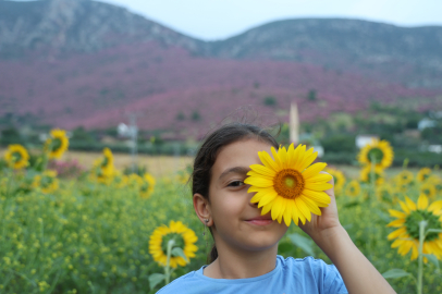 Dağlar pembeye, ova günebakanlarla sarıya büründü
