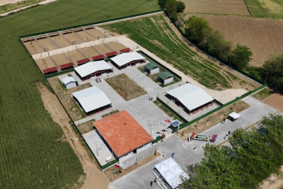 Güney Marmara'nın en modern hayvan bakım evi Yenişehir'e açıldı