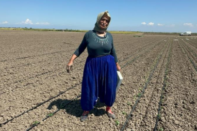 Belindeki 8 platinle tarlada ekmeğini kazanıyor