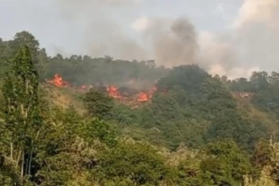 Bursa'da makilik alanda yangın