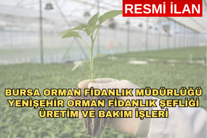 BURSA ORMAN FİDANLIK MÜDÜRLÜĞÜ YENİŞEHİR ORMAN FİDANLIK ŞEFLİĞİ ÜRETİM VE BAKIM İŞLERİ
