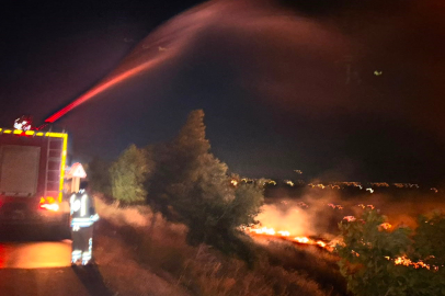 Yangında 200 Dönüm Arazi Küle Döndü