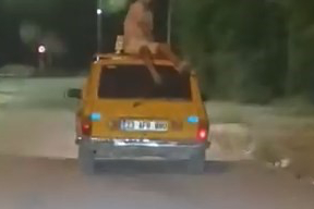 Tehlikeli Yolculuk Kamerada