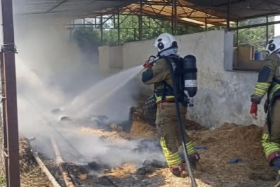 Hatay'da Samanlık Alevlere Teslim Oldu