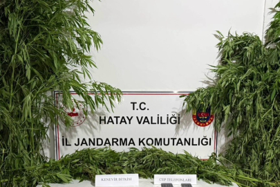 Hatay'da Uyuşturucuya Geçit Yok