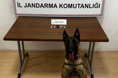 Bilecik'te Uyuşturucu Operasyonu