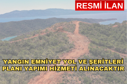YANGIN EMNİYET YOL VE ŞERİTLERİ PLANI YAPIMI HİZMETİ ALINACAKTIR