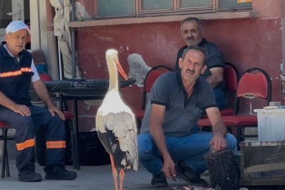 Balıkçı Ahmet ile leyleğin 10 yıllık kahvehane randevusu