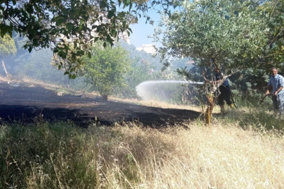Zeytinlik Yangını Korkuttu