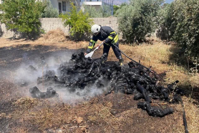 Bahçe Yangını Paniğe Neden Oldu