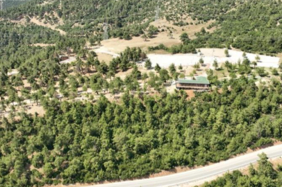Gürsu Kule Orman Park Yeniden Ziyarete Açılıyor