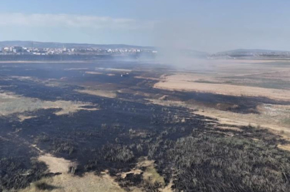 Karacabey’de korkutan yangın: Alevler fabrika yakınına kadar ilerledi