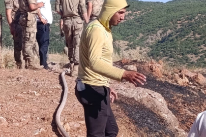 Orman Yangını Panik Yarattı