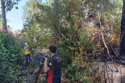Bahçe Yangını Panik Yarattı