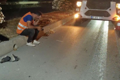 Tur aracının çarpmasıyla yola savruldu, otomobil üzerinden geçti