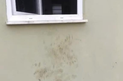 Bir günde 20 eve giren ayı yayla sakinlerini canından bezdirdi