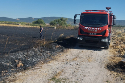 Ekili Buğday Tarlası Küle Döndü