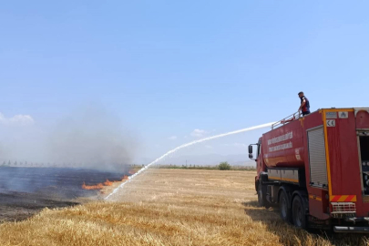 Anız Yangını Paniğe Neden Oldu