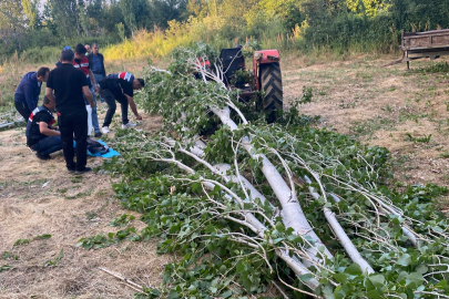Ağaç Kesmek İsterken Canından Oldu