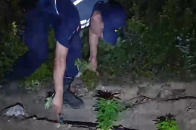 Mersin'de Uyuşturucu Operasyonu