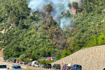 Bursa'da ormanlık alanda yangın