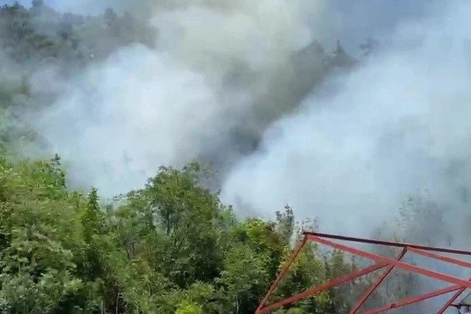 Bursa'da ormanlık alanda yangın
