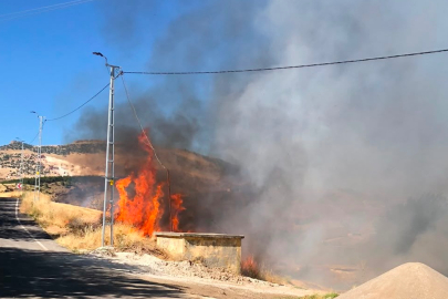 Karga Elektrik Akımına Kapıldı, Bahçe Yangını Çıktı