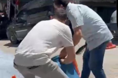 Belediye önüne süt dökme eyleminin ardındaki gerçek ortaya çıktı
