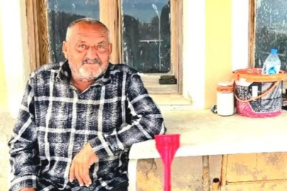 İzmir'de ayı dehşeti... Yaşlı adam hayatını kaybetti