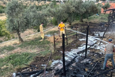 Ahır Yangını Korkuttu