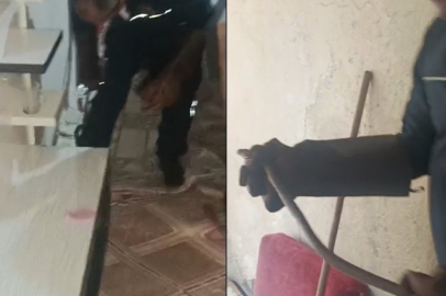 Eve Giren Yılan Aileye Korku Dolu Anlar Yaşattı 