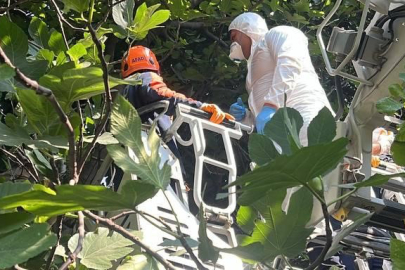 Kötü koku ihbarı ortaya çıkardı: Ağaca asılı halde ceset bulundu!