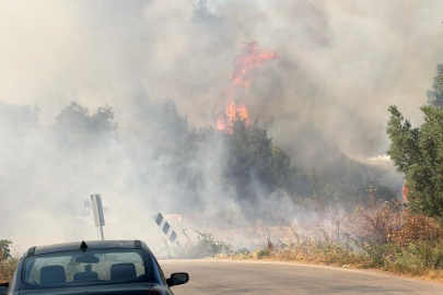 İznik'te korkutan yangın