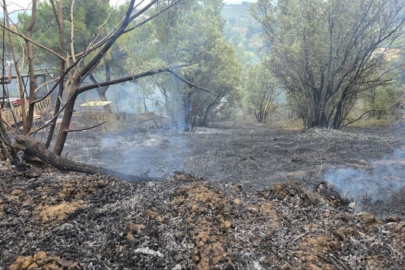 Mudanya'da rüzgarın etkisiyle büyüyen yangın kontrol altına alındı