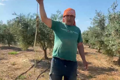 'Yılanı öldürdüm' deyip çektirdiği video pahalıya mal oldu: 22 bin TL ceza yedi