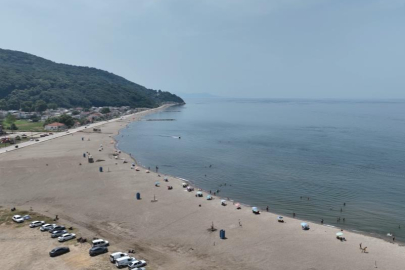 Bursa'nın sahillerinden sevindiren haber