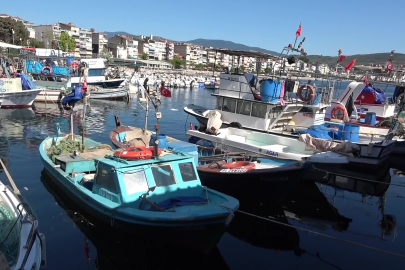 Marmara'nın emektar balıkçıları, müsilaj ve bilinçsiz avlanmadan şikayetçi