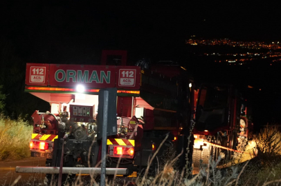 Denizli'de Orman Yangını