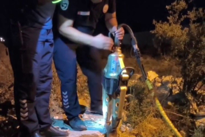 Kirpi İçin Seferberlik...