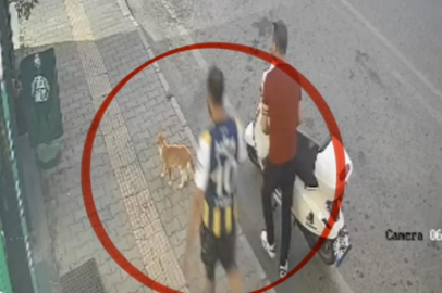 Kediye tekme atarken kameraya yansıyan şahıs yakalandı
