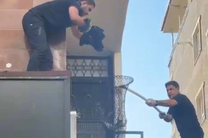 Yavru Kediler İçin Seferberlik...