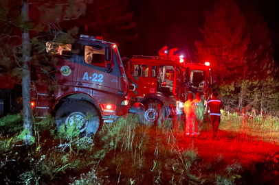Kastamonu'daki Orman Yangını